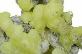 Lemon-Yellow Brucite on Matrix - Balochistan, Pakistan #354671-1